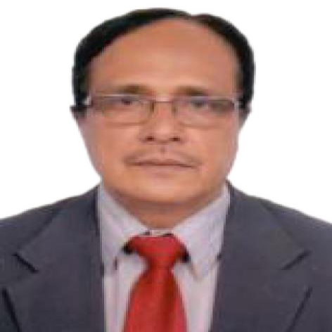Prof. Dr. Ayub Ansari